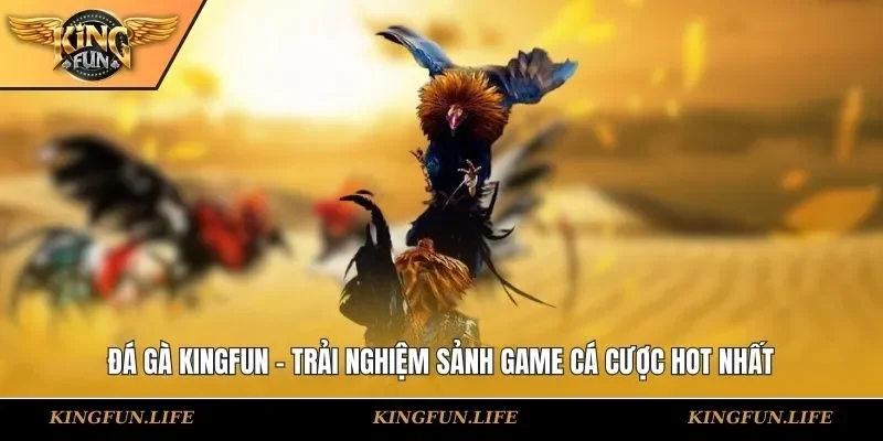Đá gà KINGFUN