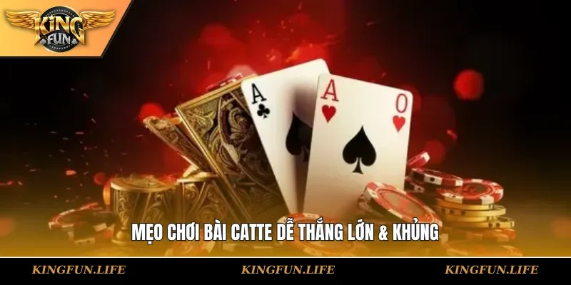 Mẹo chơi bài Catte dễ thắng lớn & khủng